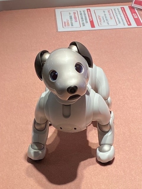 Sony's Aibo Robotic Dog, Japan